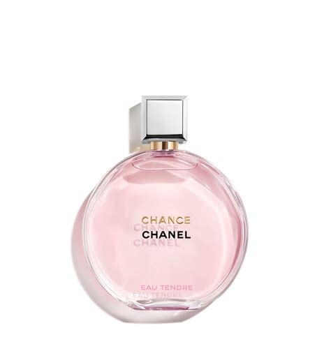 chanel 19 macy's|Chanel perfume for women Macy's.